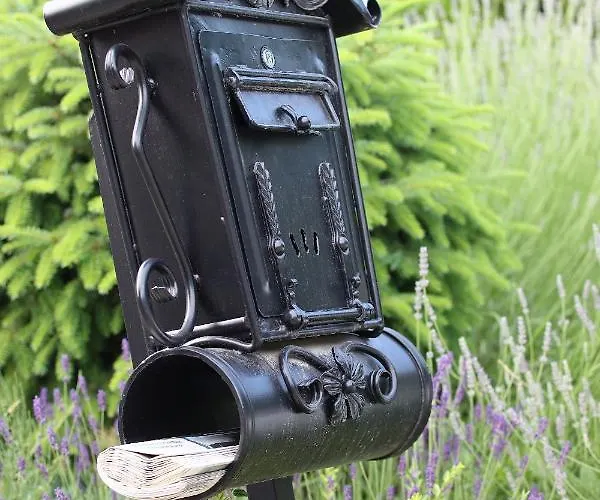 Bed & Breakfast Szekely Kuria 3*